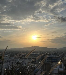 自分1人で進むより何百倍も早く進めることが出来ました！！