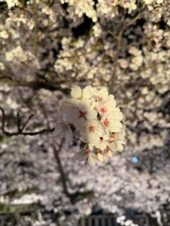 毎回、毎回、鍵を開けてくれた感じで、魂の声、人生を開いてくれた時間！！