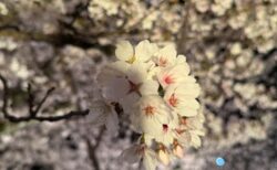 毎回、毎回、鍵を開けてくれた感じで、魂の声、人生を開いてくれた時間！！